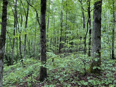 0 Burgess Loop unit RTC2389168, Crossville, TN 38572 - photo 6