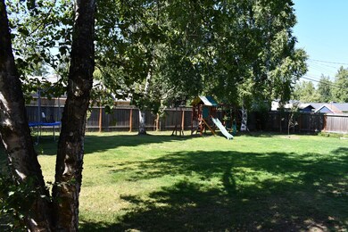 backyard2