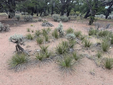 7863 Platten Rd, Fort Garland, CO 81133 - photo 5