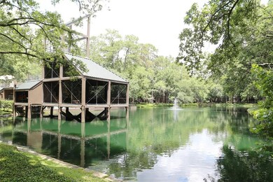 73 Litchfield Ln, Houston, TX 77024 - photo 3