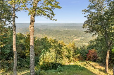 528_Brow_Lake_Rd_06