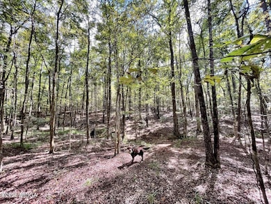 8757 Estes Rd, Macon, GA 31220 - photo 2