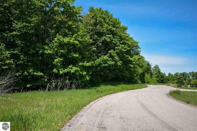 8434 Boca Vista Trail unit 4, Traverse City, MI 49684 - photo 5