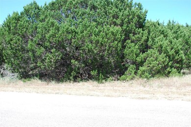 4097 Whitecrest Dr, Whitney, TX 76692 - photo 4