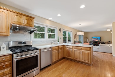 1859 Lisson Rd, Naperville, IL 60565 - photo 4