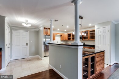 3 Southerly Ct unit 502, Towson, MD 21286 - photo 2