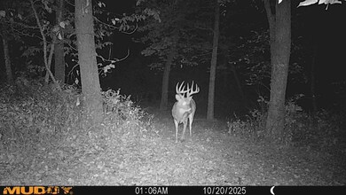 3348 268th St, Linden, IA 50146 - photo 4