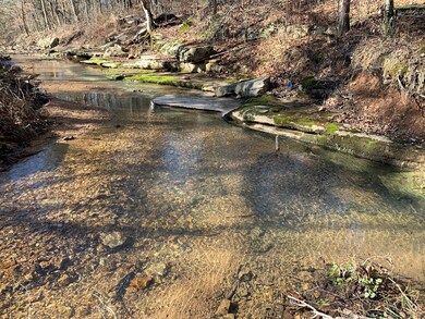 3527 Swindle Creek Rd, Linden, TN 37096 - photo 5