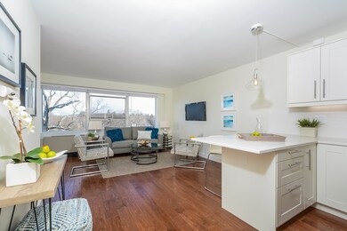 Hammond Park Condominiums unit 603, Chestnut Hill, MA 02467 - photo 3