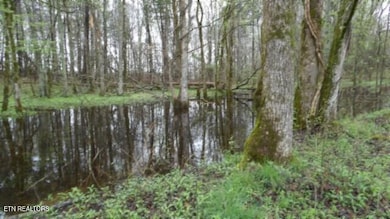 20.27ac Denton Rd, Moss, TN 38575 - photo 2