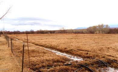 Irrigated pasture