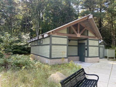Olive Shores Park2