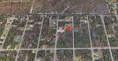 2311 Columbus Ave, Alva, FL 33920 - photo 7