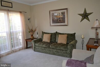 223 Arbor Vista Ln, Owings Mills, MD 21117 - photo 2