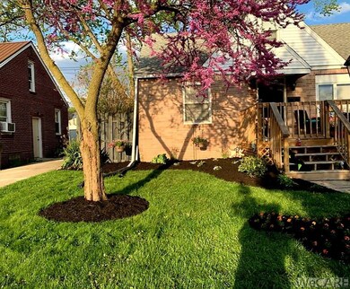 new landscaping