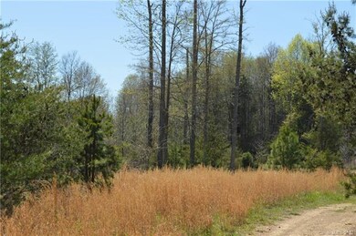 8581 Haydens Way, Concord, NC 28025 - photo 5