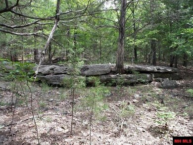 Lot Q Longfellow Dr, Mountain Home Township, AR 72653 - photo 3