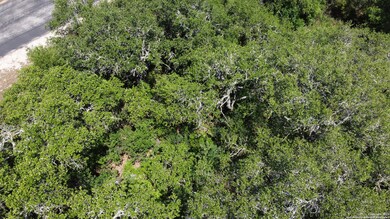 15050 Chinquapin, Helotes, TX 78023 - photo 4