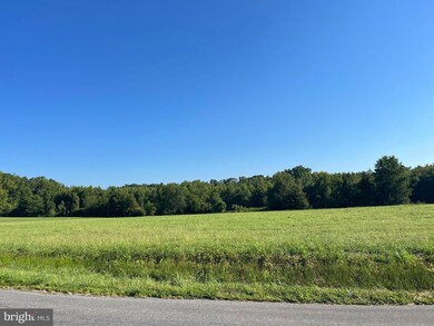 610 Holland Creek Rd, Louisa, VA 23093 - photo 2