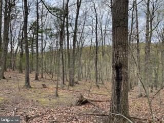 0 Hungaria Rd unit WVMO118352, Berkeley Springs, WV 25411 - photo 2