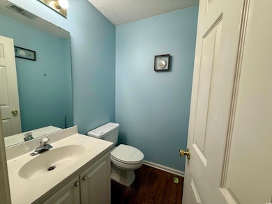 Half bathroom featuring wood finished floors, a textured ceiling, and vanity