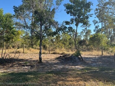 323 S Huckleberry Lake Dr, Sebring, FL 33875 - photo 5