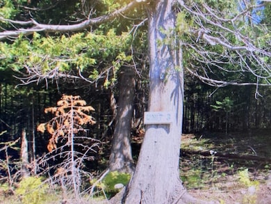 0 Old Ferry Dock Rd unit 25-216, Drummond Island, MI 49725 - photo 3