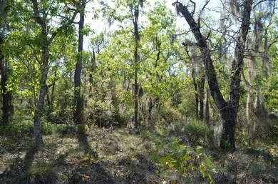 000 Sea Oaks Loop, Keaton Beach, FL 32348 - photo 7