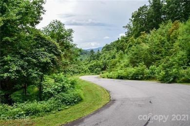 99999 Spring Creek Trail unit 7, Asheville, NC 28806 - photo 3