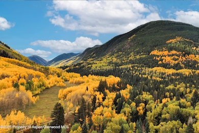 143 Conundrum Creek Rd, Aspen, CO 81611 - photo 3