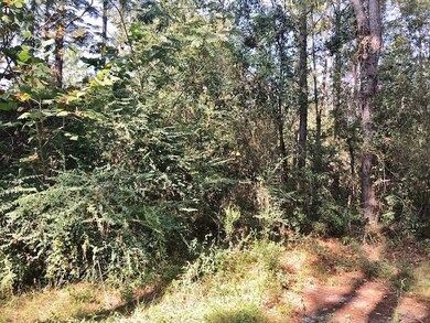 131 Bluebird Ln, Adel, GA 31620 - photo 4