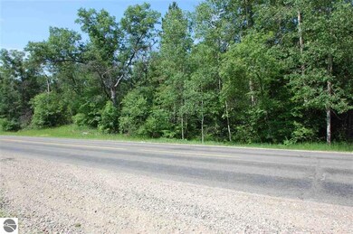 VL Rifle River Trail, West Branch, MI 48661 - photo 6