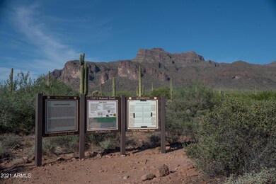 TONTO NATIONAL FOREST