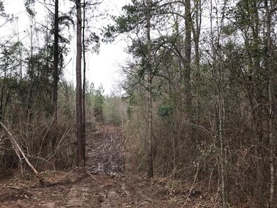 000 Airport Rd, Tylertown, MS 39667 - photo 7