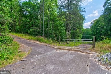 6439 S Chestatee, Dahlonega, GA 30533 - photo 4