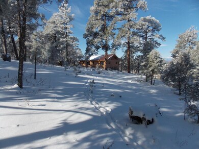 33651 Mountain View unit 79, Trinidad, CO 81082 - photo 6