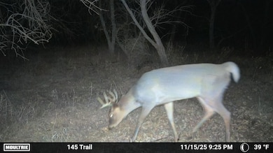 12120 Hwy 59, Sedgwick, CO 80749 - photo 4