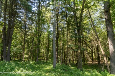 43 Buttermilk Falls Rd, Catskill, NY 12414 - photo 4