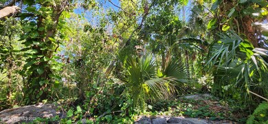 middle of lot