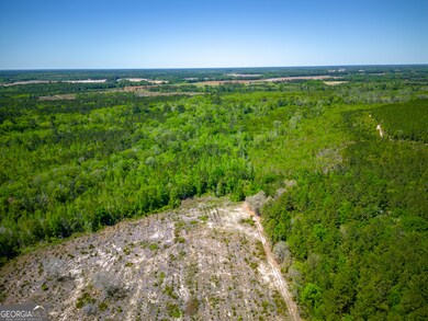 0 Ward Boyette Rd, Bristol, GA 31518 - photo 5