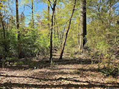 TBD Tunica Trace, Saint Francisville, LA 70775 - photo 3