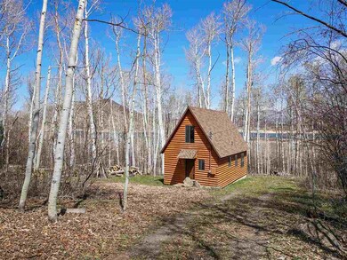 67872 Shady Ln, Collbran, CO 81624 - photo 3