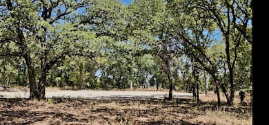 843 Jackson Trail, Azle, TX 76020 - photo 5