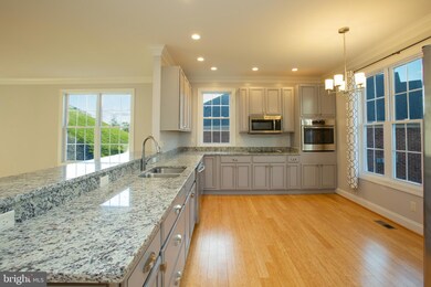 125 Anna Mae Ct, Strasburg, VA 22657 - photo 5