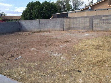 Backyard 2