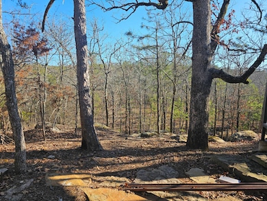 172018 Us Highway 271, Clayton, OK 74536 - photo 6