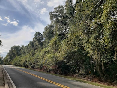 0 Lonnie Rd unit 392431, Tallahassee, FL 32308 - photo 4