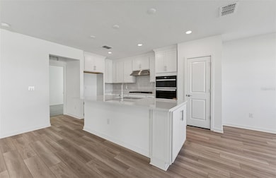 33417 Binding Ties Ln, Wesley Chapel, FL 33545 - photo 3