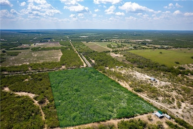 10.81 acres Cr 170, George West, TX 78022 - photo 2