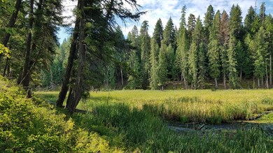 Nhn Rainbow Dr, Bigfork, MT 59911 - photo 3